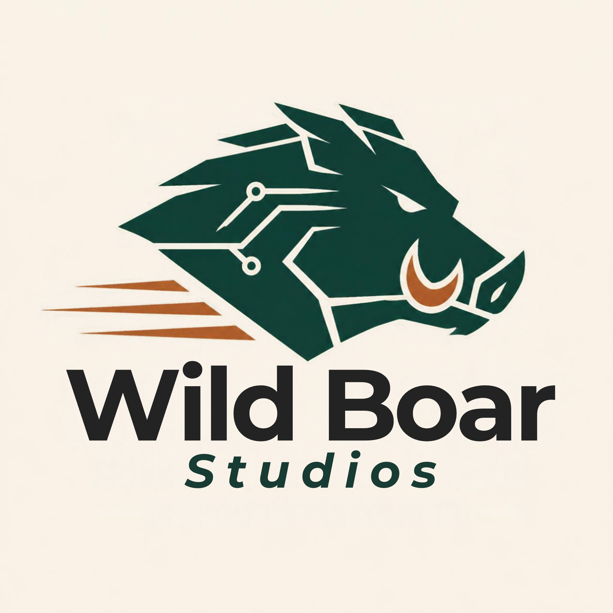Wild Boar Studios